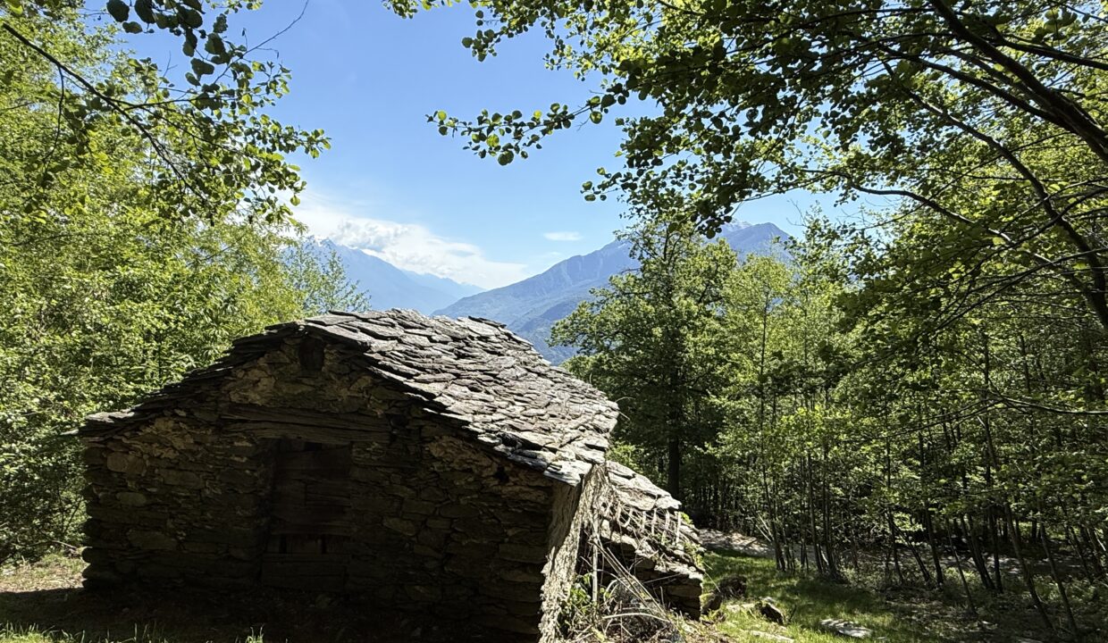 Pianello Rustico con Terreno10