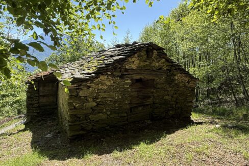 Pianello Rustico con Terreno12