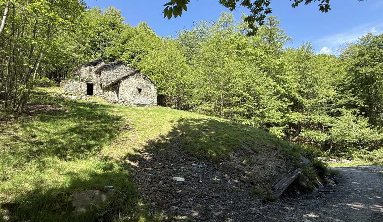 Pianello Rustico con Terreno17