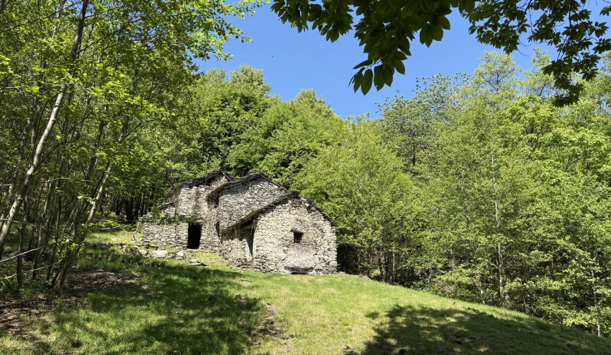 Pianello Rustico con Terreno18