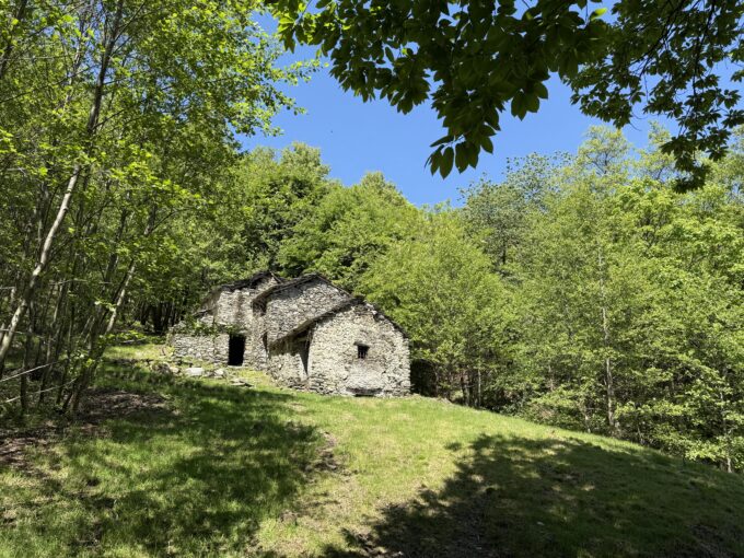 Pianello Rustico con Terreno