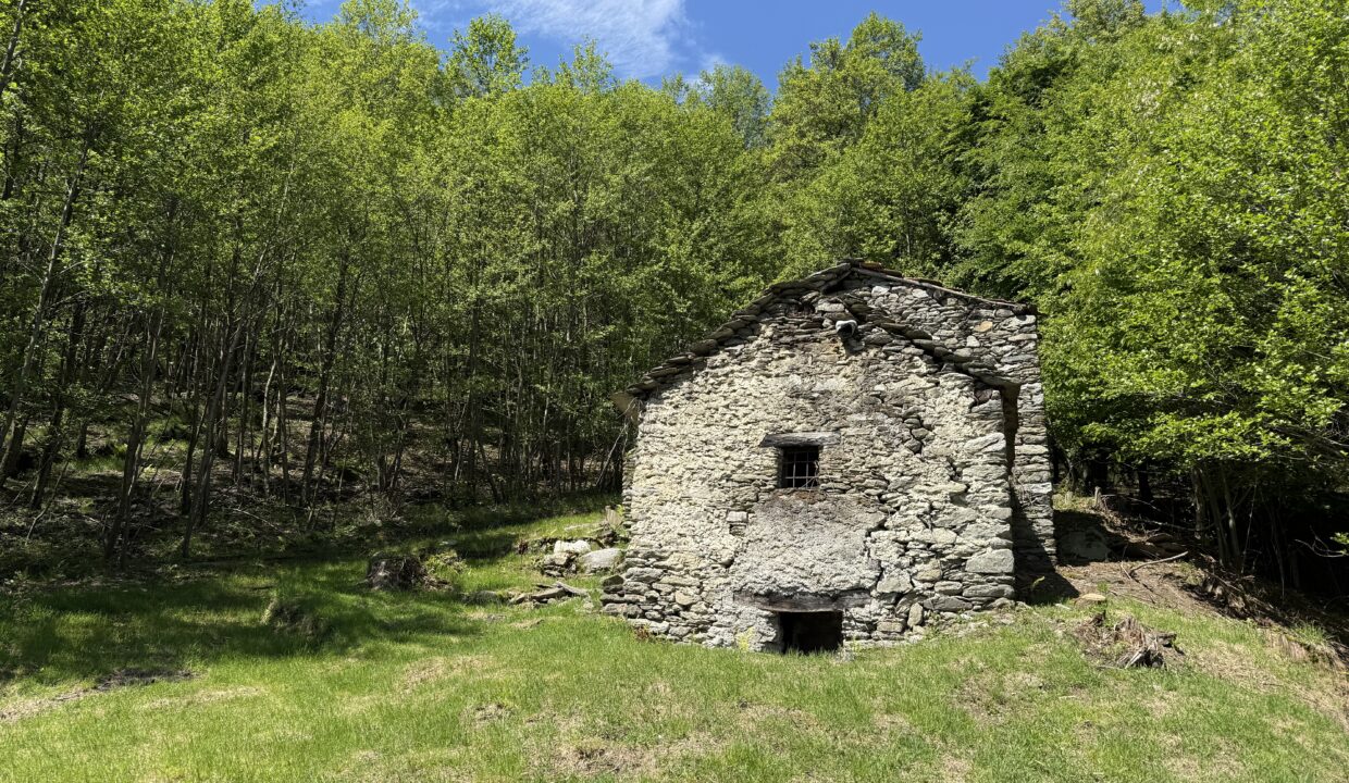 Pianello Rustico con Terreno3
