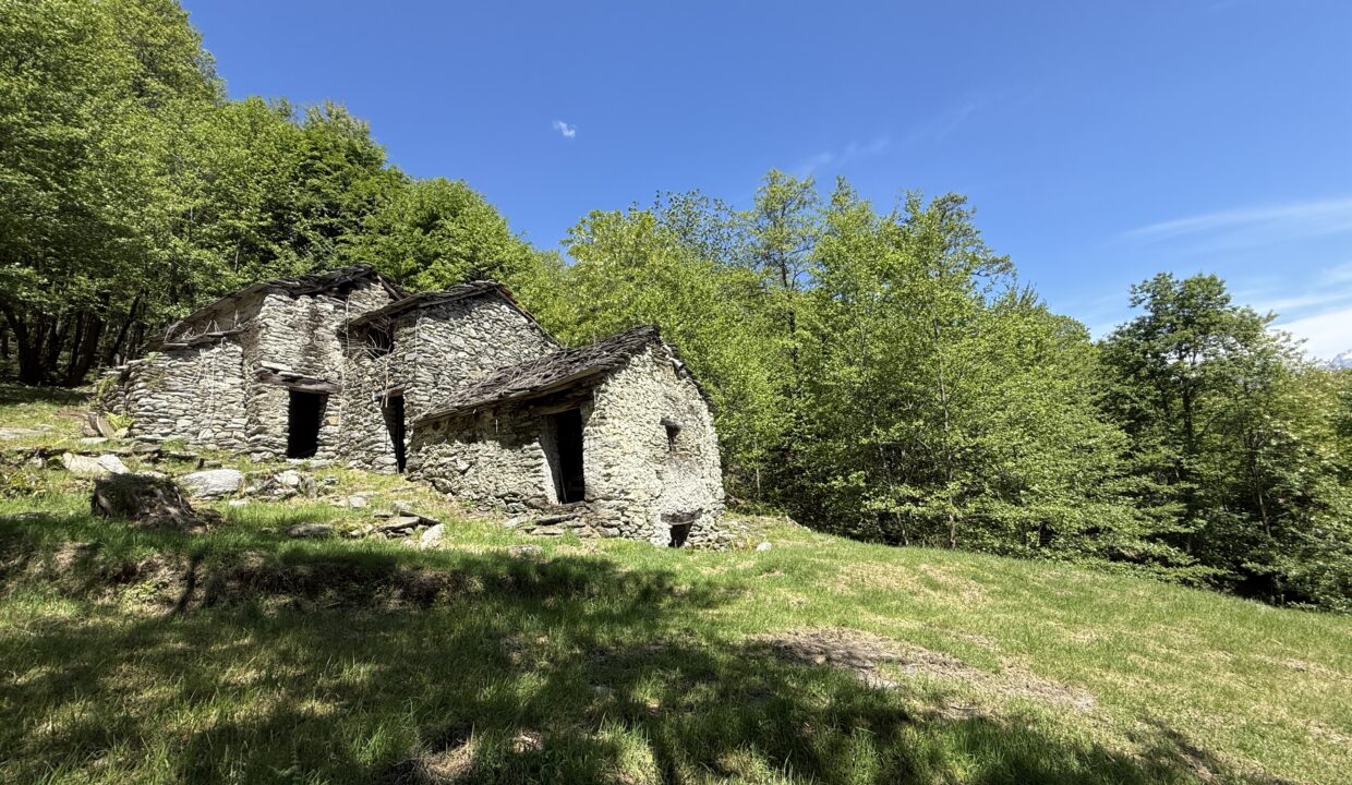 Pianello Rustico con Terreno5