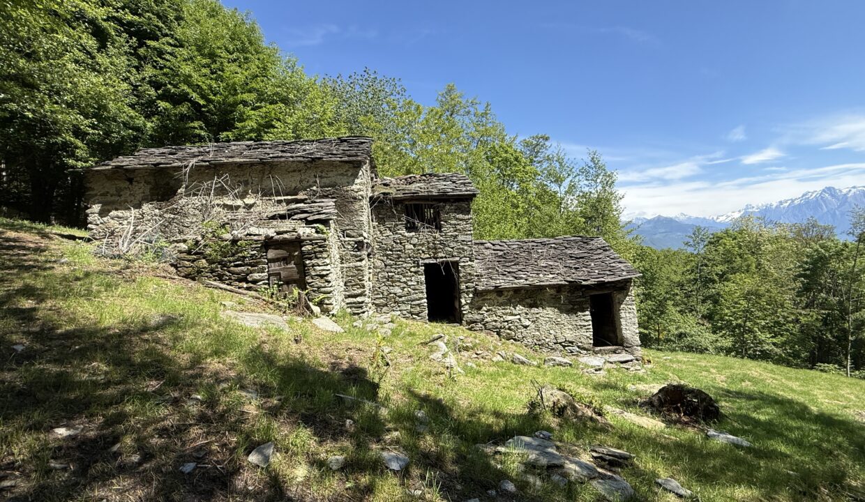 Pianello Rustico con Terreno6