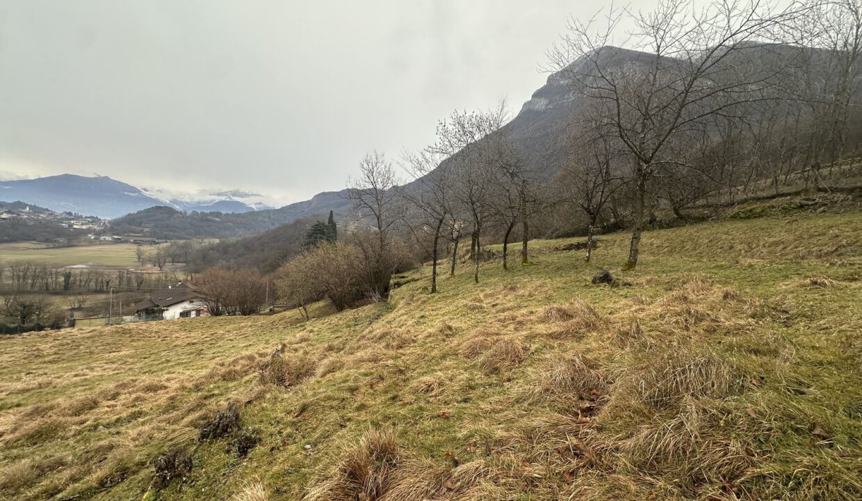Terreno Edififabile Grandola ed Uniti
