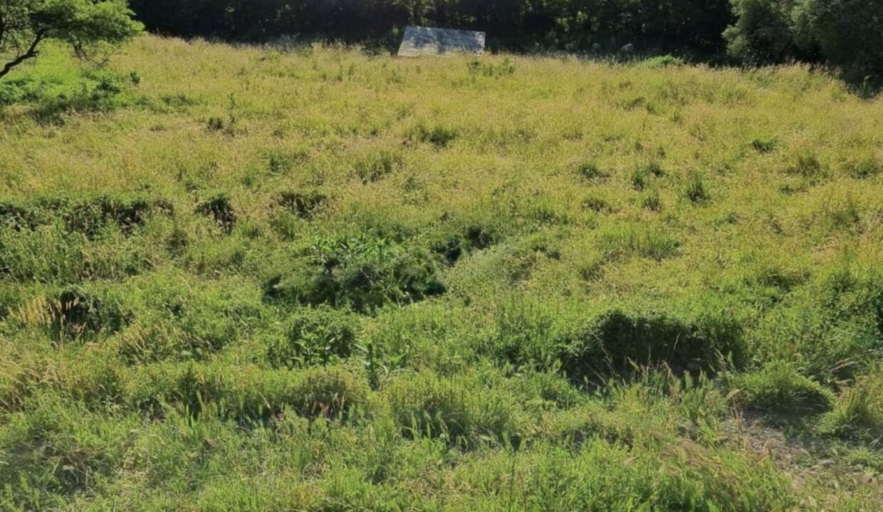 Terreno Edificabile Bellano Vista Lago