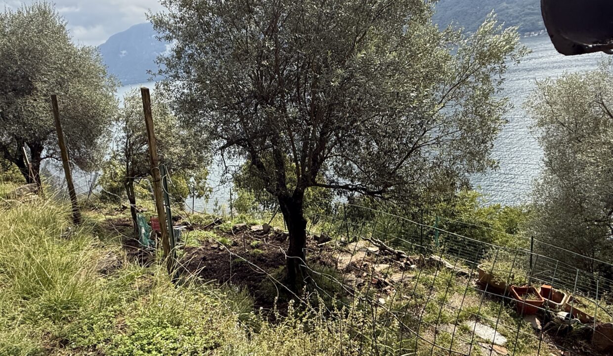 Rustico Colonno con Vista Lago 3 2