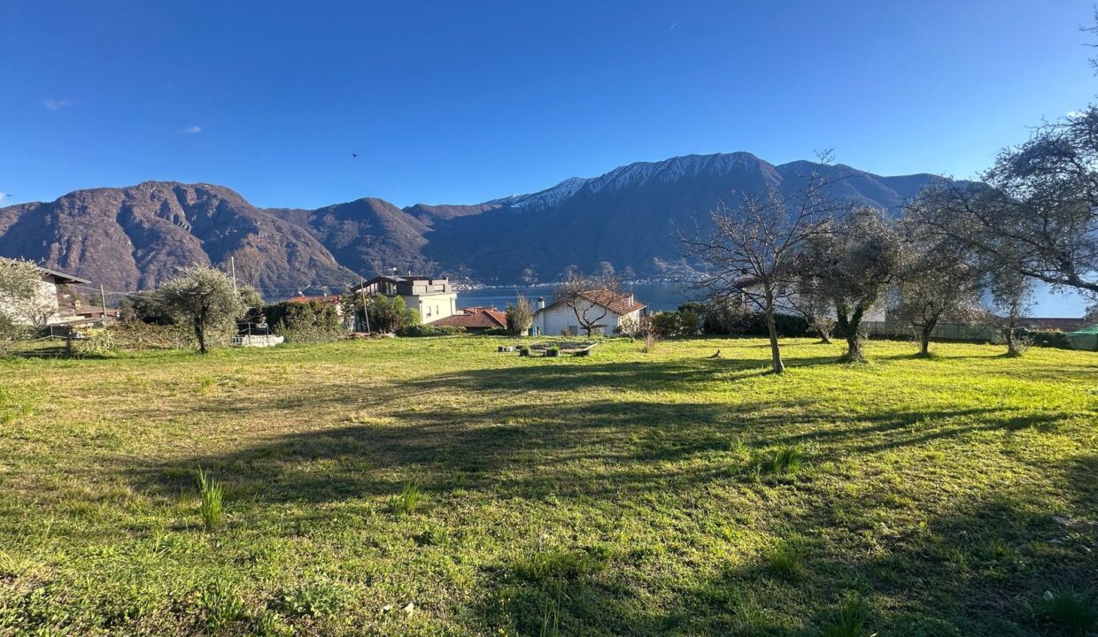 Tremezzina Terreno Edificabile Vista Lago