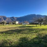 Tremezzina Terreno Edificabile Vista Lago