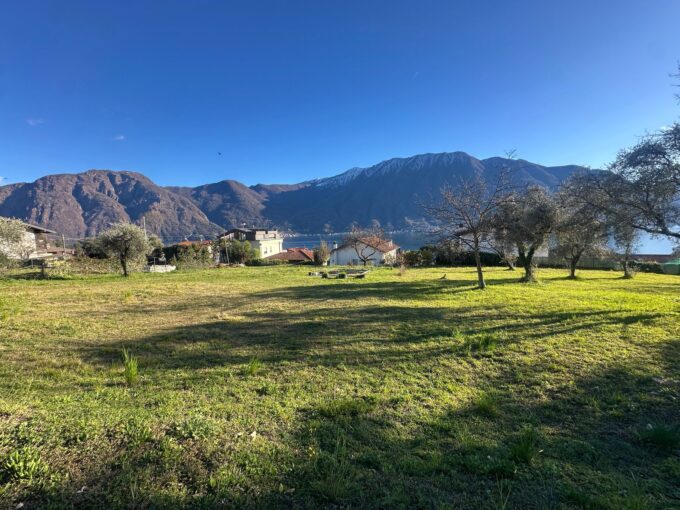 Tremezzina Terreno Edificabile Vista Lago