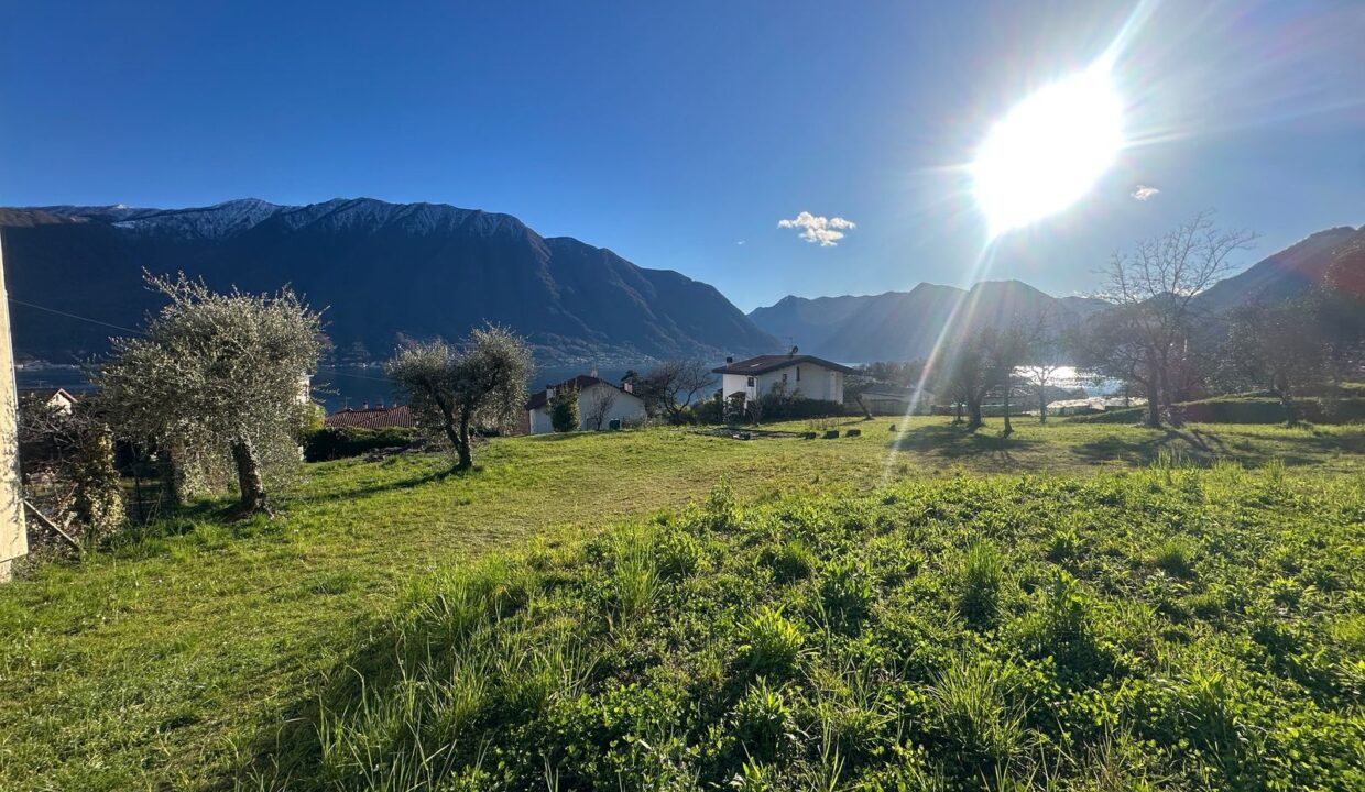 Tremezzina Terreno Edificabile Vista Lago