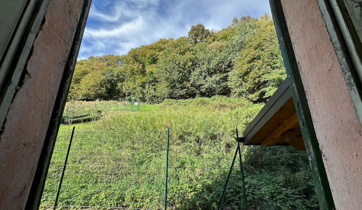 Casa Indipendente Dongo Collinare con Terreno